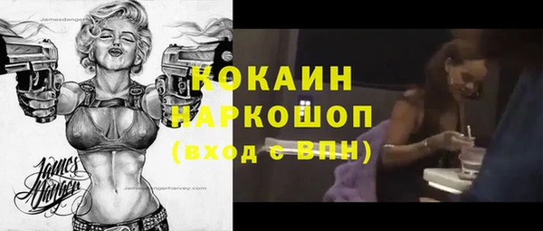 шишки Армянск