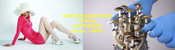 шишки Армянск