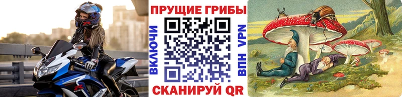 Псилоцибиновые грибы Cubensis  как найти закладки  Нея 